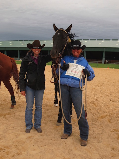 Horse training in Stephenville Texas