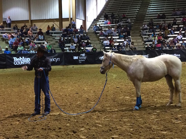 Clinton Anderson demonstrating horse training for the crowd