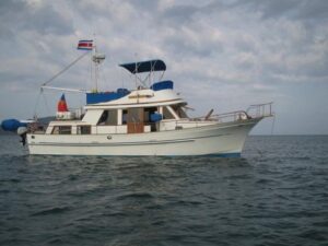 Hershine Trawler cruising boat on the water