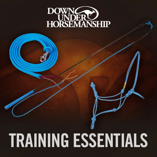 DownUnder Horsemanship stick and rope and horse halter